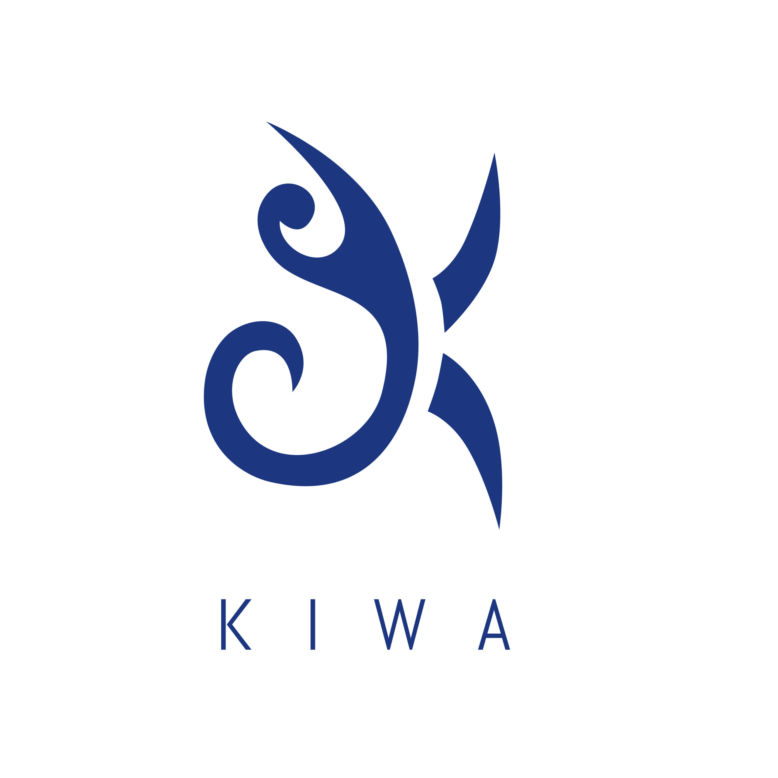 Kiwa Shipping
